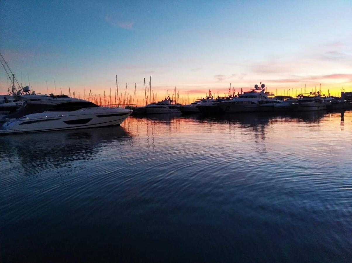 Canalejas - Alicante